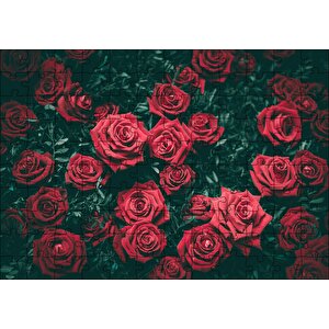 Kırmızı Güller Ve Yaprakları Görseli Puzzle Yapboz Mdf Ahşap 120 Parça