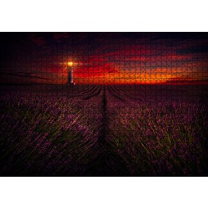 Günbatımı Deniz Feneri Ve Lavanta Tarlası Puzzle Yapboz Mdf Ahşap 1000 Parça