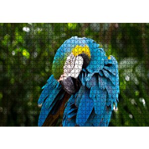 Mavi Tüylü Papağan Puzzle Yapboz Mdf Ahşap 1000 Parça