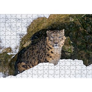 Mağara Ağzında Kar Leoparı Puzzle Yapboz Mdf Ahşap 255 Parça