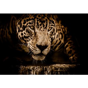 Jaguar Pusuda Yakın Plan Puzzle Yapboz Mdf Ahşap 120 Parça