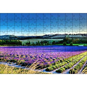 Cakapuzzle  Lavanta Tarlası Ve Yeşil Tepeler Puzzle Yapboz Mdf Ahşap