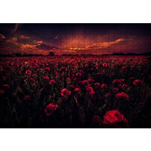 Günbatımı Gelincik Tarlası Ve Kızıl Gökler Puzzle Yapboz Mdf Ahşap 500 Parça
