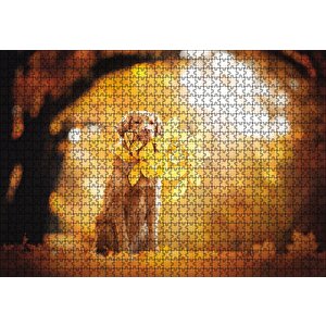 Golden Retriever Sonbahar Yaprakları Puzzle Yapboz Mdf Ahşap 1000 Parça