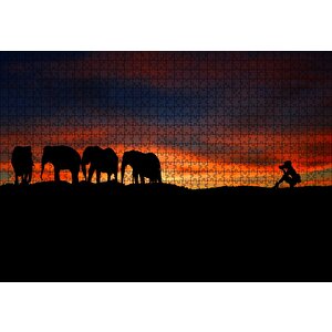 Günbatımı Filler Ve Safari Fotoğrafçısı Puzzle Yapboz Mdf Ahşap 1000 Parça