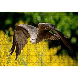 Doğada Alçakta Uçan Şahin Görseli Puzzle Yapboz Mdf Ahşap 255 Parça