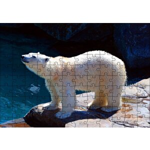 Kutup Ayısı Hayvanat Bahçesinde Puzzle Yapboz Mdf Ahşap 120 Parça