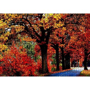 Ağaçlı Yol Ve Sonbahar Yaprakları Puzzle Yapboz Mdf Ahşap 1000 Parça