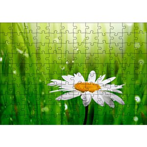 Yeşil Çimenler Papatya Ve Su Damlaları Puzzle Yapboz Mdf Ahşap 120 Parça