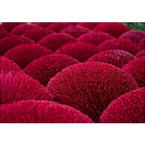 Kırmızı Dekoratif Küresel Objeler Puzzle Yapboz Mdf Ahşap 120 Parça