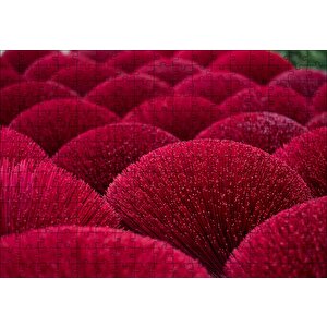 Kırmızı Dekoratif Küresel Objeler Puzzle Yapboz Mdf Ahşap 255 Parça