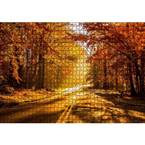 Sonbahar Ormandan Geçen Yol Ve Güneş Işınları Puzzle Yapboz Mdf Ahşap 1000 Parça