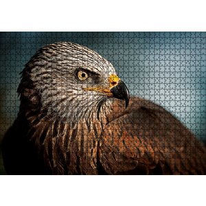 Kahverengi Doğan Kuşu Puzzle Yapboz Mdf Ahşap 1000 Parça