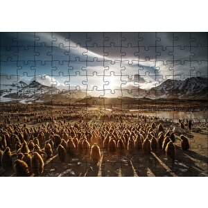 Güney Georgia'da Kral Pengueni Yavruları Puzzle Yapboz Mdf Ahşap 120 Parça