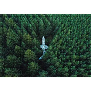 Kuşbakışı Ormanın Ortasındaki Uçak Puzzle Yapboz Mdf Ahşap 1000 Parça