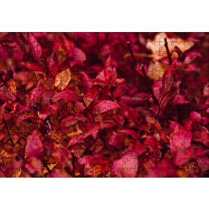 Kızıl Sonbahar Yaprakları Puzzle Yapboz Mdf Ahşap 255 Parça