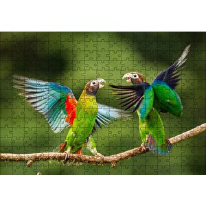 Sevda Papağanları Puzzle Yapboz Mdf Ahşap 255 Parça