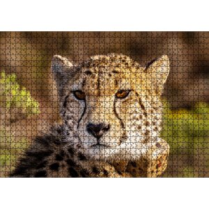 Çita Yakın Çekim Flu Savana Arka Plan Puzzle Yapboz Mdf Ahşap 1000 Parça