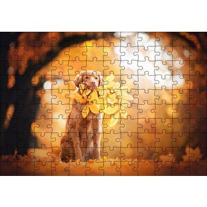 Golden Retriever Sonbahar Yaprakları Puzzle Yapboz Mdf Ahşap 120 Parça
