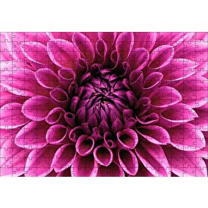 Pembe Dahlia Çiçeği Yakın Plan Puzzle Yapboz Mdf Ahşap 255 Parça