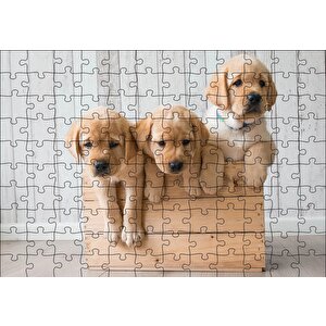 Kasada Golden Yavruları Puzzle Yapboz Mdf Ahşap 120 Parça