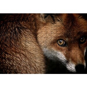 Kızıl Tilki Puzzle Yapboz Mdf Ahşap 255 Parça
