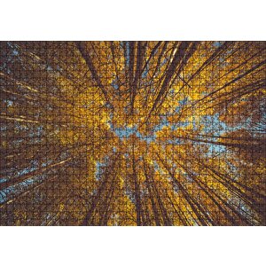 Orman Zeminden Yukarı Bakış Sarı Ağaçlar Puzzle Yapboz Mdf Ahşap 1000 Parça