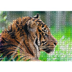 Sumatra Kaplanı Yakın Plan Puzzle Yapboz Mdf Ahşap 1000 Parça