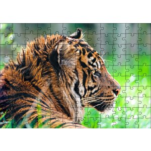 Sumatra Kaplanı Yakın Plan Puzzle Yapboz Mdf Ahşap 120 Parça