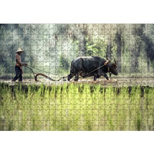 Pirinç Tarlası Süren Vietnamlı Puzzle Yapboz Mdf Ahşap 500 Parça