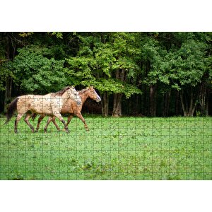 Orman Yeşil Çayırlar Ve Bir Çift At Puzzle Yapboz Mdf Ahşap 500 Parça