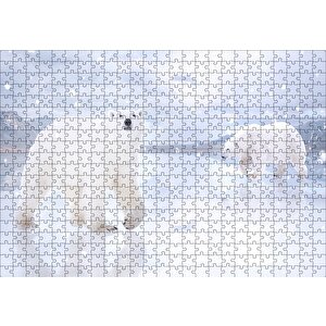 Kutup Ayıları Karlar Ve Buz Kütleleri Puzzle Yapboz Mdf Ahşap 500 Parça