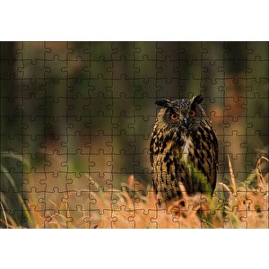 Çayırdaki Kırmızı Gözlü Baykuş Puzzle Yapboz Mdf Ahşap 120 Parça