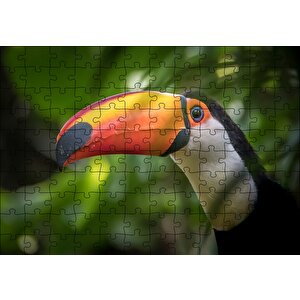 Tropikal Kuş Tucan Yakın Plan Puzzle Yapboz Mdf Ahşap 120 Parça