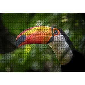 Tropikal Kuş Tucan Yakın Plan Puzzle Yapboz Mdf Ahşap 1000 Parça