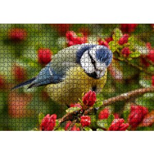 Kırmızı Çiçekli Ağaçta Mavi Sarı Kuş Puzzle Yapboz Mdf Ahşap 1000 Parça