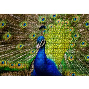 Hint Tavus Kuşu Puzzle Yapboz Mdf Ahşap 1000 Parça