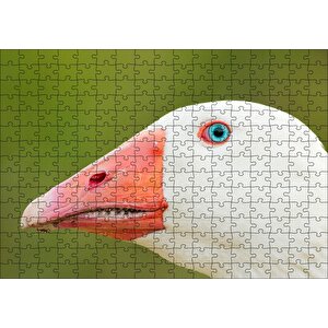 Cakapuzzle  Mavi Gözlü Kaz Yakın Plan Puzzle Yapboz Mdf Ahşap