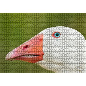 Mavi Gözlü Kaz Yakın Plan Puzzle Yapboz Mdf Ahşap 1000 Parça