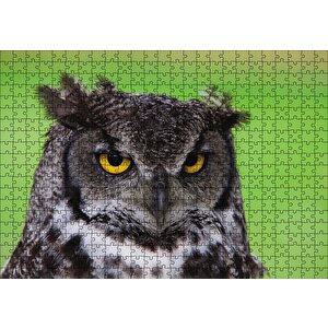 Sarı Gözlü Baykuş Puzzle Yapboz Mdf Ahşap 500 Parça
