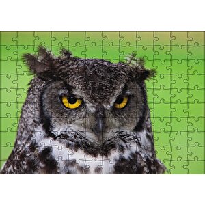 Sarı Gözlü Baykuş Puzzle Yapboz Mdf Ahşap 120 Parça
