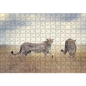 Savanada Av Hazırlığındaki Çitalar Puzzle Yapboz Mdf Ahşap 255 Parça