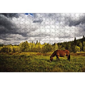 Manzara At Orman Puzzle Yapboz Mdf Ahşap 255 Parça