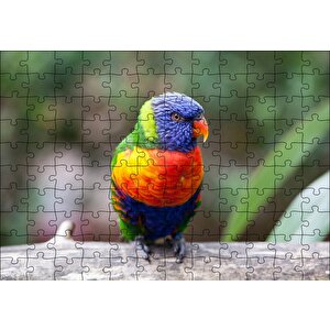 Gökkuşağı Lorikeet Papağanı Puzzle Yapboz Mdf Ahşap 120 Parça