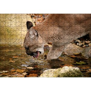 Ormandaki Puma Derede Su İçerken Görseli Puzzle Yapboz Mdf Ahşap 255 Parça