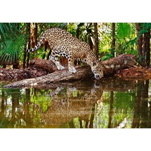 Ormanda Su İçen Leopar Görseli Puzzle Yapboz Mdf Ahşap 500 Parça