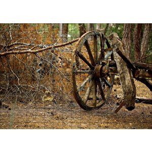 Ormanda Eski At Arabası Tekerleği Puzzle Yapboz Mdf Ahşap 255 Parça