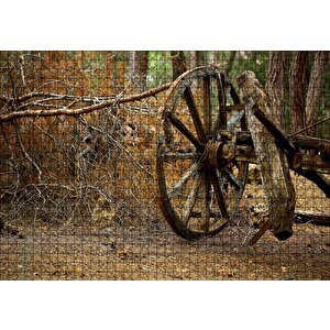 Ormanda Eski At Arabası Tekerleği Puzzle Yapboz Mdf Ahşap 1000 Parça
