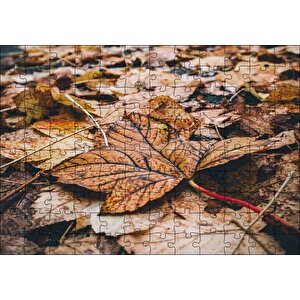 Yerde Sararmış Yapraklar Puzzle Yapboz Mdf Ahşap 120 Parça