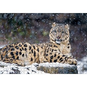 Kar Yağışı Ve Leopar Görseli Puzzle Yapboz Mdf Ahşap 500 Parça